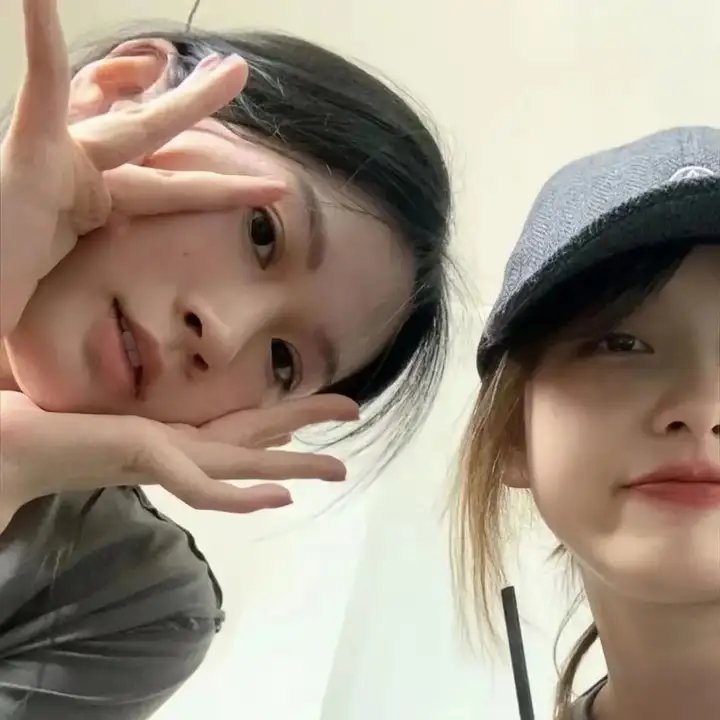 燕子盗